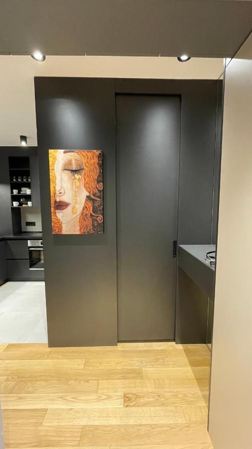 Apartman Moderna Vracar - New Belgrade